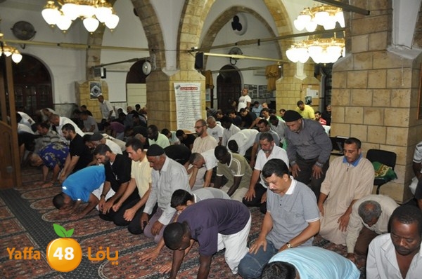 trawe7 7san bek 715 (21).JPG